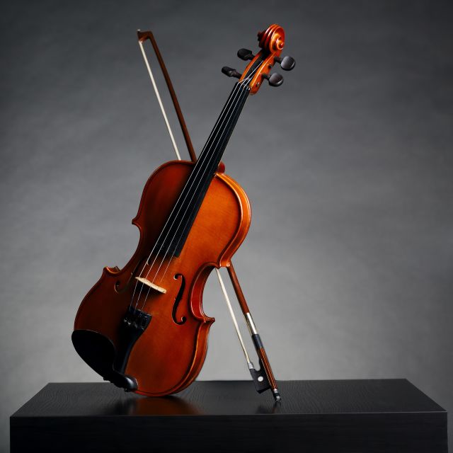 Afternoon Access to Accademia Gallery: David & Stradivarius - Key Points to Know Before You Go