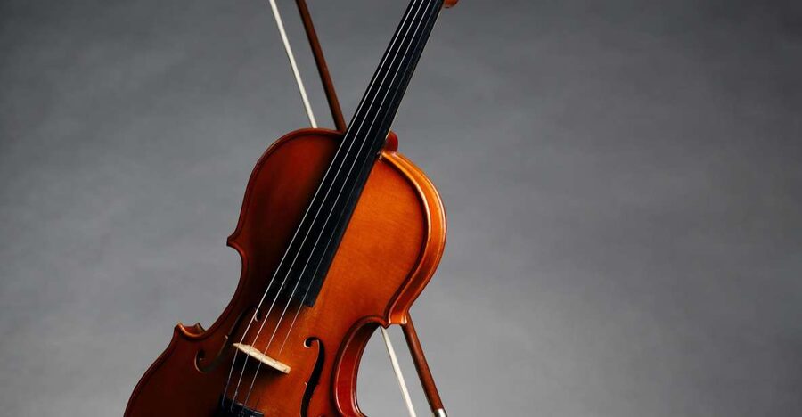 Afternoon Access to Accademia Gallery: David & Stradivarius - Meeting Point and Timing, No Guesswork Needed