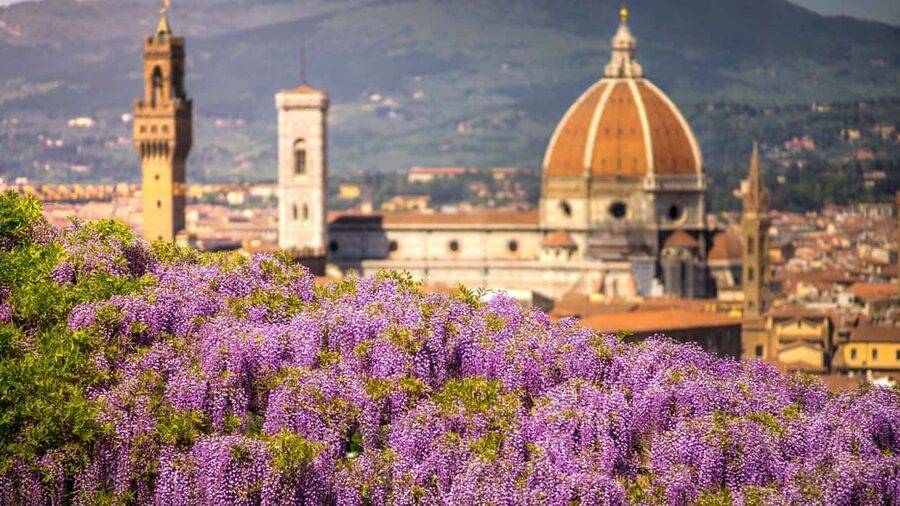 Best of Florence: Private Walking Tour with a Local - Guide style: resident perspective, English or Italian, and real flexibility