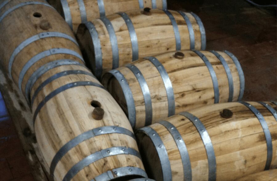 Boutique Winery Visit & Wine Tasting near Arezzo - Tenuta La Pineta near Arezzo: boutique, family-run, and practical
