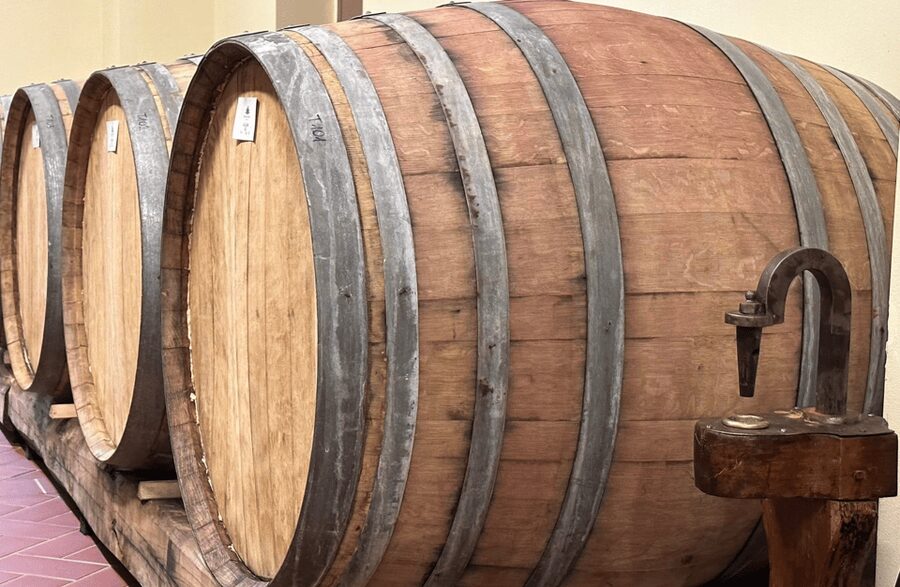 Boutique Winery Visit & Wine Tasting near Arezzo - Vineyard walk at 300 meters: where Sangiovese logic starts to make sense