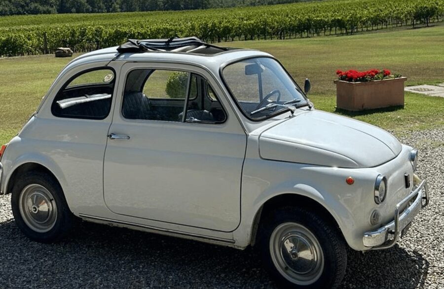 Boutique Winery Visit & Wine Tasting near Arezzo - Tasting 3 wines plus estate olive oil: the part you’ll remember