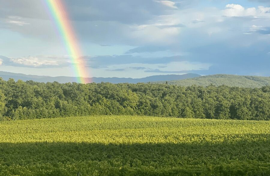 Boutique Winery Visit & Wine Tasting near Arezzo - Getting there from Arezzo: 25 minutes by car, follow the brown sign
