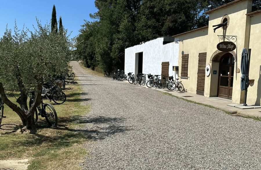 Boutique Winery Visit & Wine Tasting near Arezzo - Final call: book it if you want a tight, estate-connected tasting