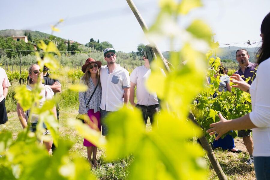 Castiglion Fiorentino: Buccelletti Wine Tour & Tasting - The wine tasting moment, three wines with bread and olive oil