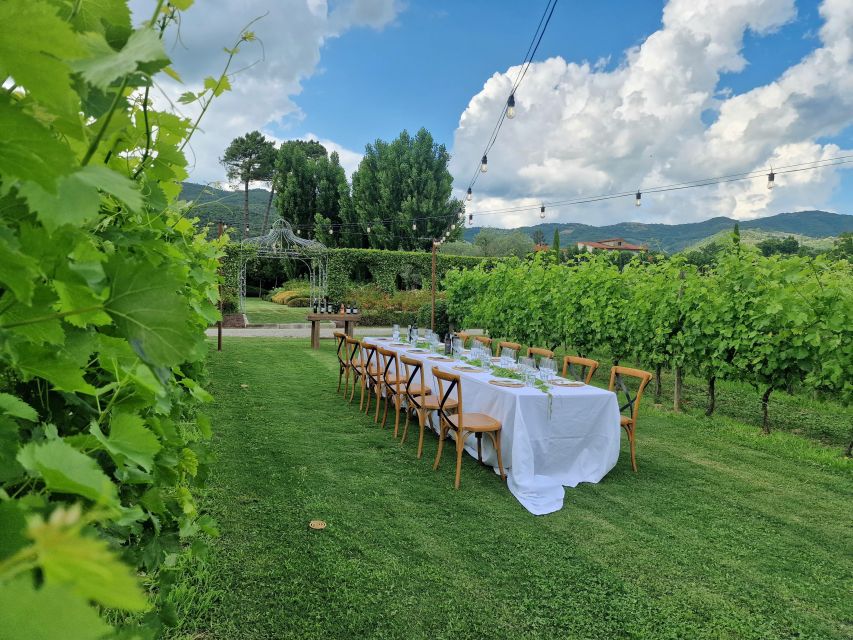 Castiglion Fiorentino: Tour, Tasting & Charcuterie Board - Wine tasting under the porch: 3 wines, salumi and cheese, focaccia, and olive oil