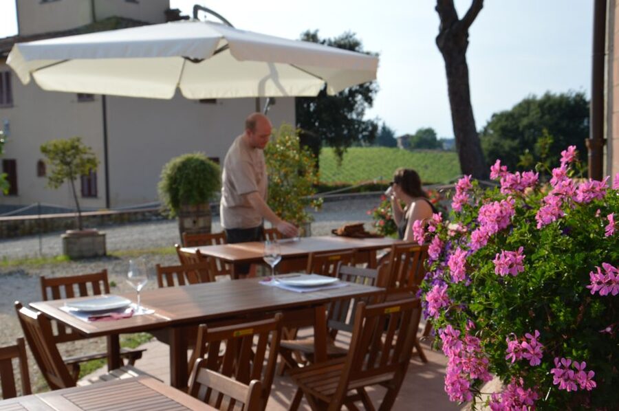 Chianti: 4 Wines +1 Oil Guided Tasting & Tour - Bruschetta plus oil pairing: why the bread is part of the teaching