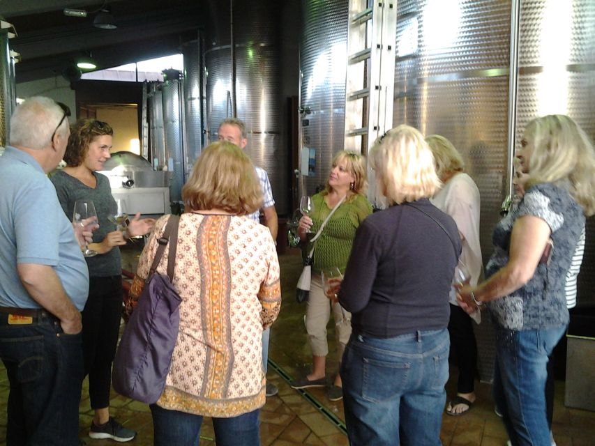 Chianti: 4 Wines +1 Oil Guided Tasting & Tour - Who this tour suits best