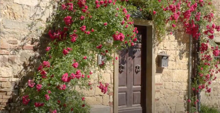 Chianti and Castles Tour From San Gimignano - FAQ