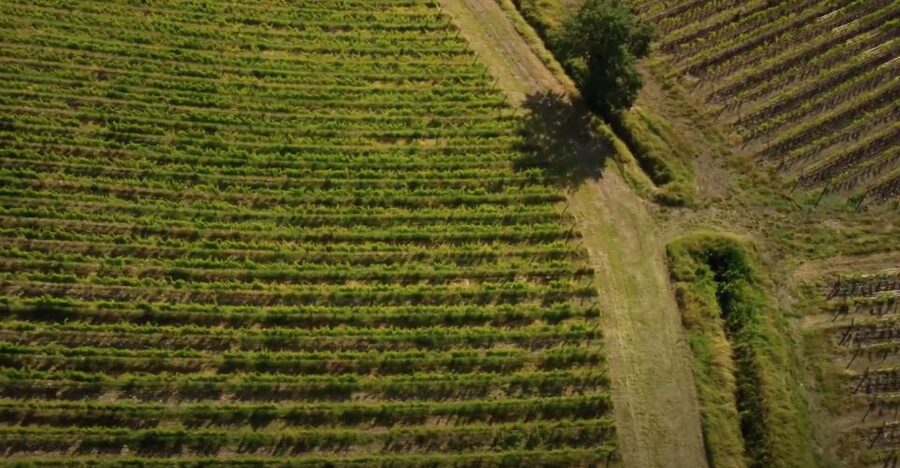 Chianti and Castles Tour From San Gimignano - Monteriggioni: castle views, but manage expectations on time