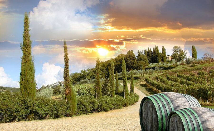 Chianti and Castles Tour From San Gimignano - Who this Chianti and Castles tour is best for