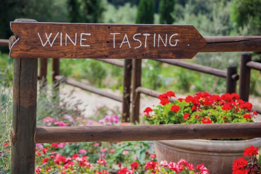 Chianti Countryside Full-Day Tour by Vintage Fiat 500 - Small Group Pace, Timing, and How to Make It Feel Unhurried