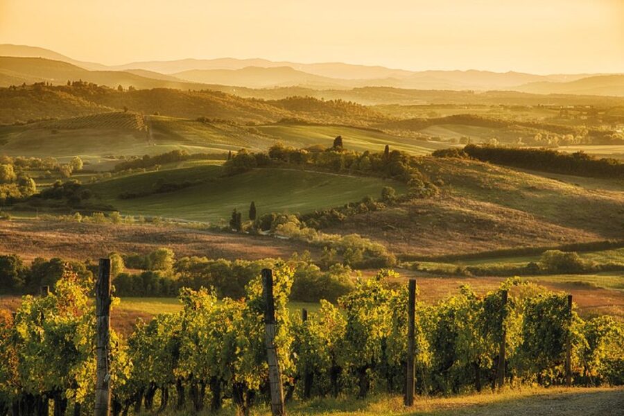 Chianti Countryside Full-Day Tour by Vintage Fiat 500 - Who This Tour Suits Best (and Who Might Be Happier Elsewhere)