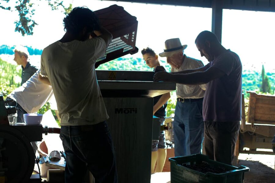 Chianti Organic wine tasting - Why this organic tasting in Chianti feels more like a farm visit