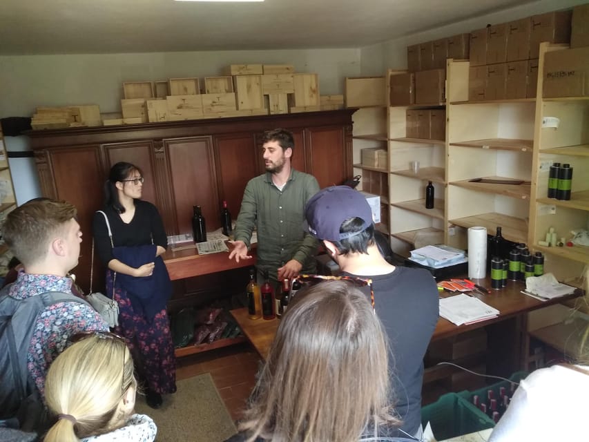 Chianti Organic wine tasting - Who this suits best in your Tuscany plans