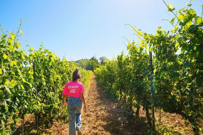 Chianti Vineyards Escape from Florence with Two Wine Tastings - The Coach Ride: Scenic Views Plus Real Context