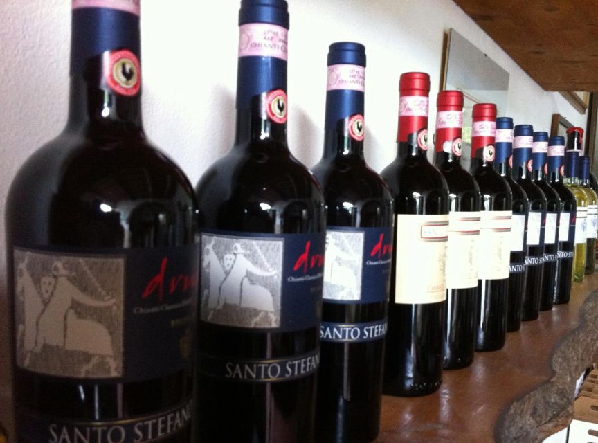 Chianti: Wine and Olive Oil Tasting with Cellar Tour - Orciaia and extra-virgin olive oil after pressing
