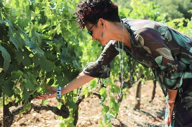 Chianti Wine Tour from Florence - Getting From Florence Into the Vineyards: Via Chiantigiana by Coach