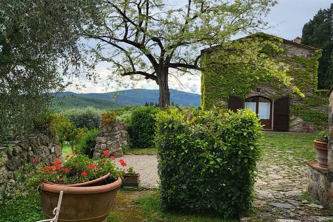 Chianti Wine Tour from Florence with Tastings - From Florence to the Chianti hills: how the ride fits your day