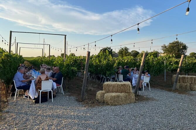 Chianti Wine Tour from Florence with Tastings - Casale dello Sparviero: the exclusive estate tour and the off-limits feel