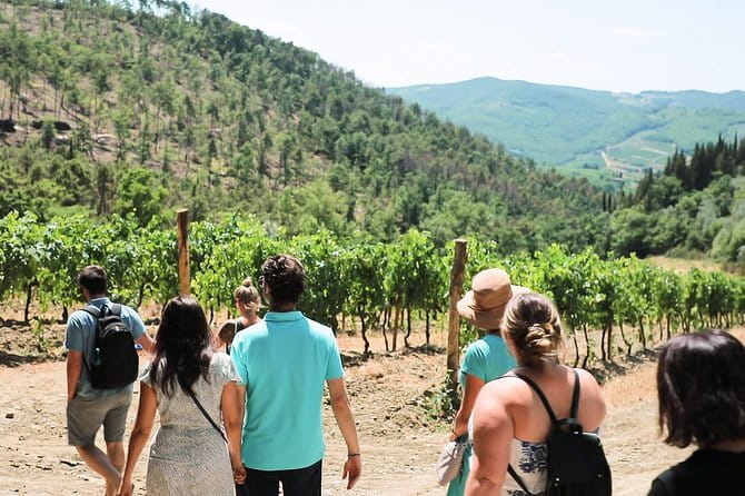 Chianti Wine Tour from Florence - Stop One in Chianti Classico: Organic Winery Hosting and First Tastings