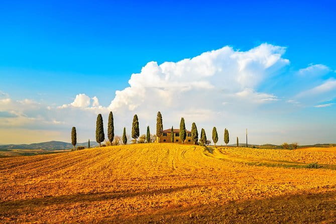 Cinque Terre and Pisa Full Day Tour from Florence - Manarola First: Pastel Streets, Sea Views, and Real Free Time
