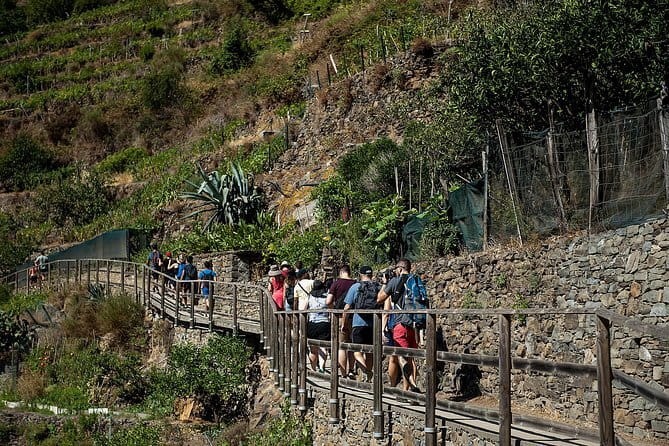 Cinque Terre Day Trip with Optional Hiking or Pisa - Pick the Right Version: Hike, Train-Only, or Pisa Add-On