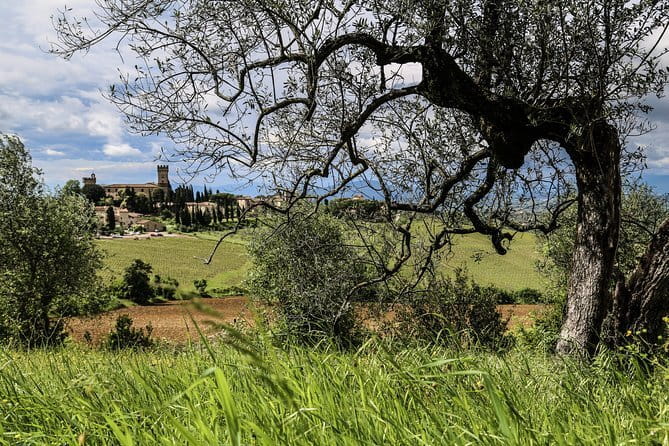 Cinque Terre & Pisa Premium Tour from Florence - The light vineyard hike and the boat ride when conditions cooperate