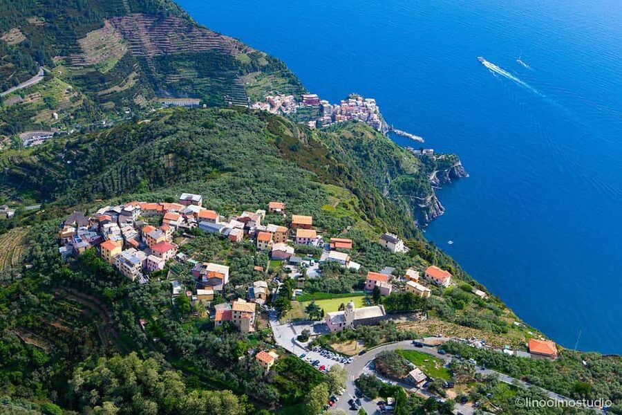 Cinque Terre: tasting in the cellar with visit to vineyards - Why a Volastra cellar tasting is a smart take on Cinque Terre