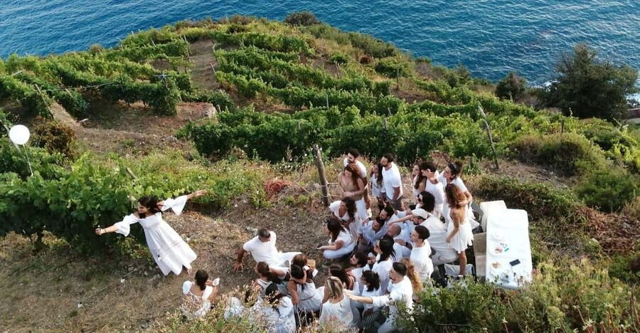 Cinque Terre: tasting in the cellar with visit to vineyards - What the terraced walk teaches you (and what it does not)