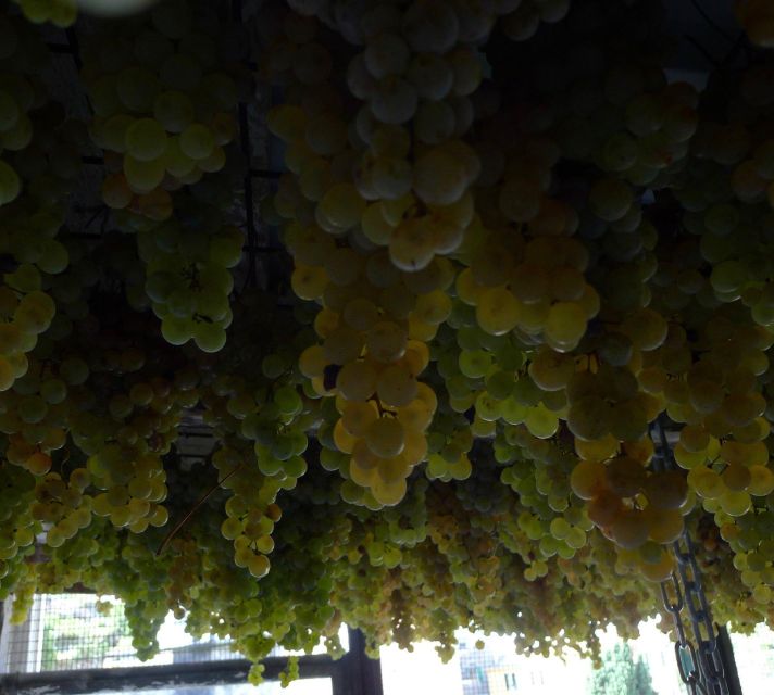 Cinque terre wine tour and tasting with the somelier - Key Highlights Worth Marking on Your Map