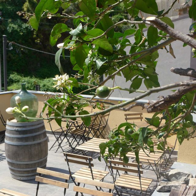 Cinque terre wine tour and tasting with the somelier - Price and Value: Is $81 Worth 1.5 Hours of Wine and Walking?