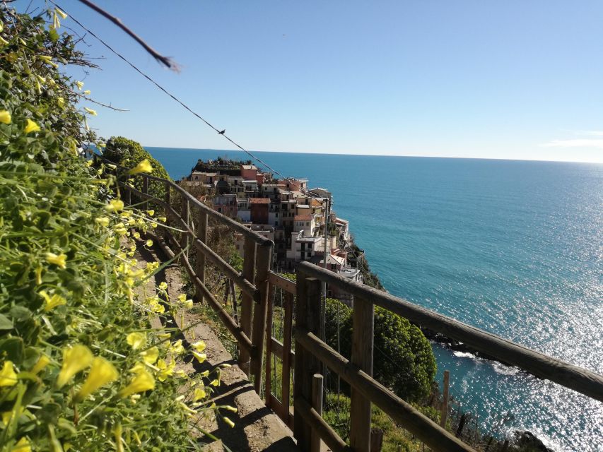 Cinque terre wine tour and tasting with the somelier - Meeting Point at Località a Piè de Campu: The Simple Directions You Need