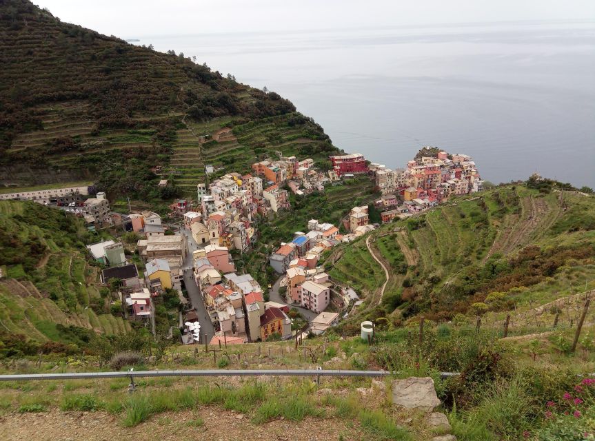 Cinque terre wine tour and tasting with the somelier - Who This Tour Fits Best, and What Might Not