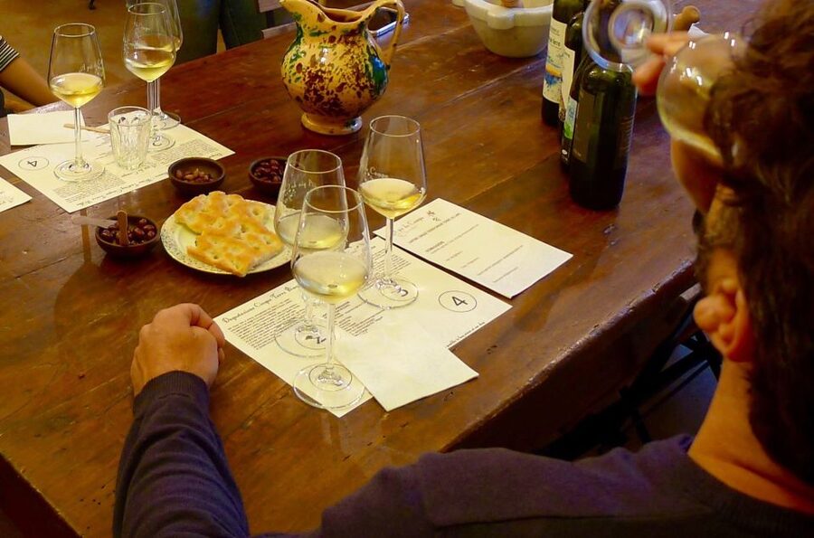 Cinque terre wine tour and tasting with the somelier - The Vineyard Walk Above Manarola: Dry Stone Walls and a Natural Amphitheater Feeling