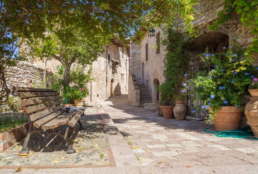 Cortona: 3-Hour Private Walking Tour - Food and Shopping Tips You Can Use the Same Day