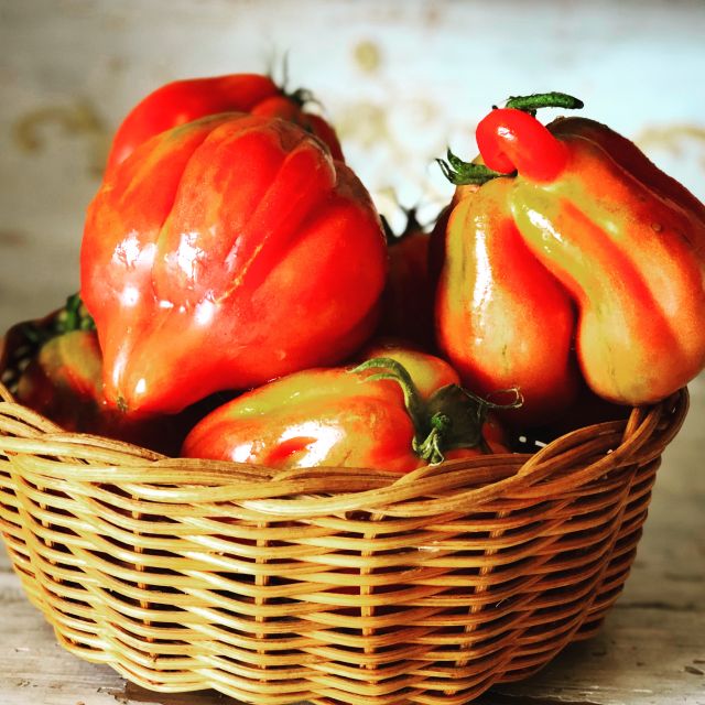 Cortona: Pasta and Pizza Cooking Class - Key Things to Know Before You Go