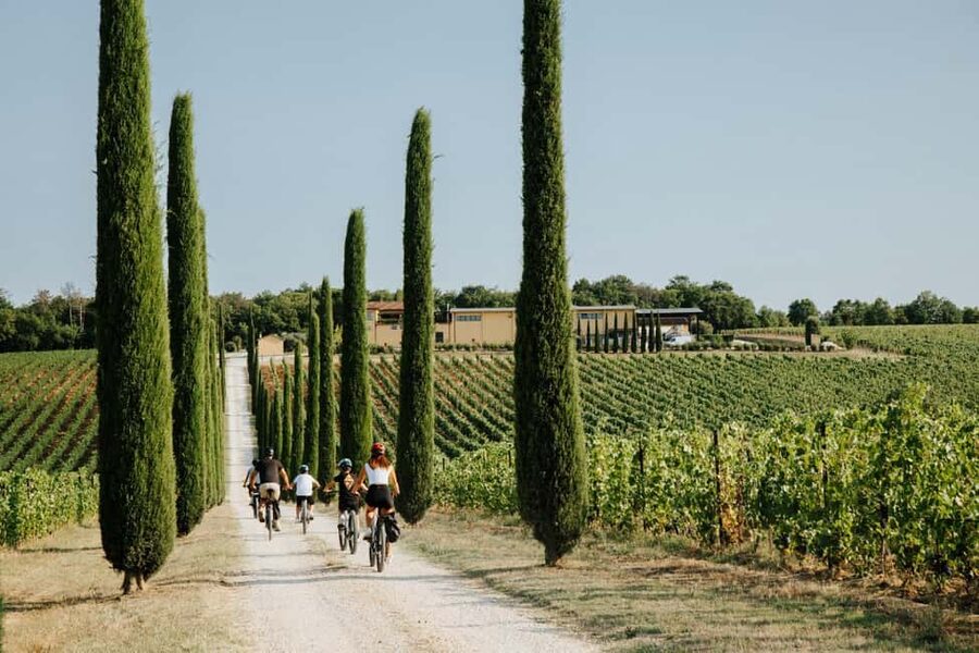 Cortona: Val di Chiana E-Bike Tour with Optional Wine Lunch - Optional Wine Lunch and Tasting: The Best Type of Tuscany Finale
