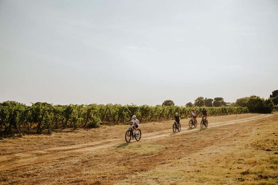 Cortona: Val di Chiana E-Bike Tour with Optional Wine Lunch - Price and Value: Is $186 Worth It for 5 Hours?