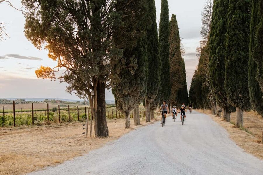 Cortona: Val di Chiana E-Bike Tour with Optional Wine Lunch - Who This Tour Suits, and Who Should Skip It