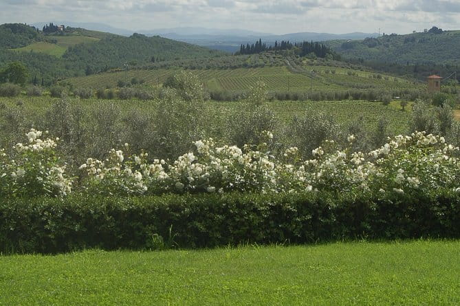 Discover Chianti Through its Wines - Key Moments You Should Know About