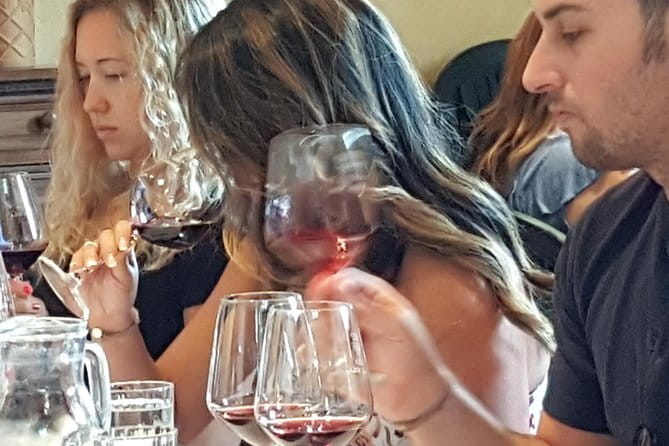 Discover Chianti Through its Wines - Casa Sola Chianti: A Simple Tour With Smart Wine Structure