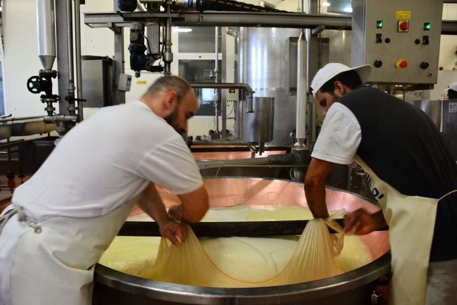 Emila-Romagna: Parmigiano, Prosciutto, Wine & Balsamic Tour - Should You Book This Emilia-Romagna Cheese, Prosciutto, Wine, and Balsamic Tour?