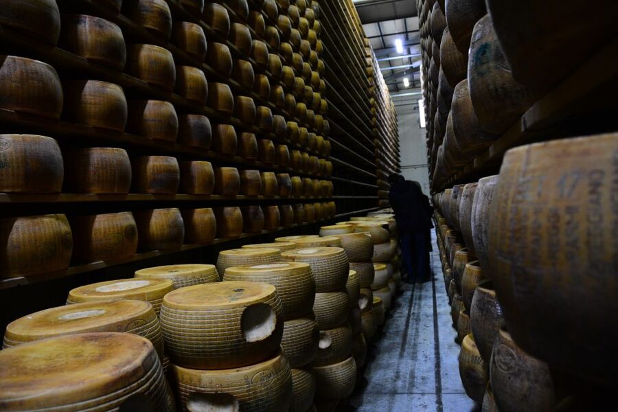 Emila-Romagna: Parmigiano, Prosciutto, Wine & Balsamic Tour - A One-Day Food Route Through Emilia-Romagna From Florence