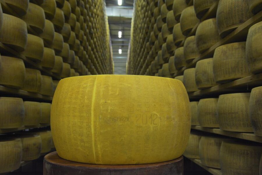 Emila-Romagna: Parmigiano, Prosciutto, Wine & Balsamic Tour - Villabianca: Balsamic Vinegar Tours Plus an Emilia-Romagna Lunch