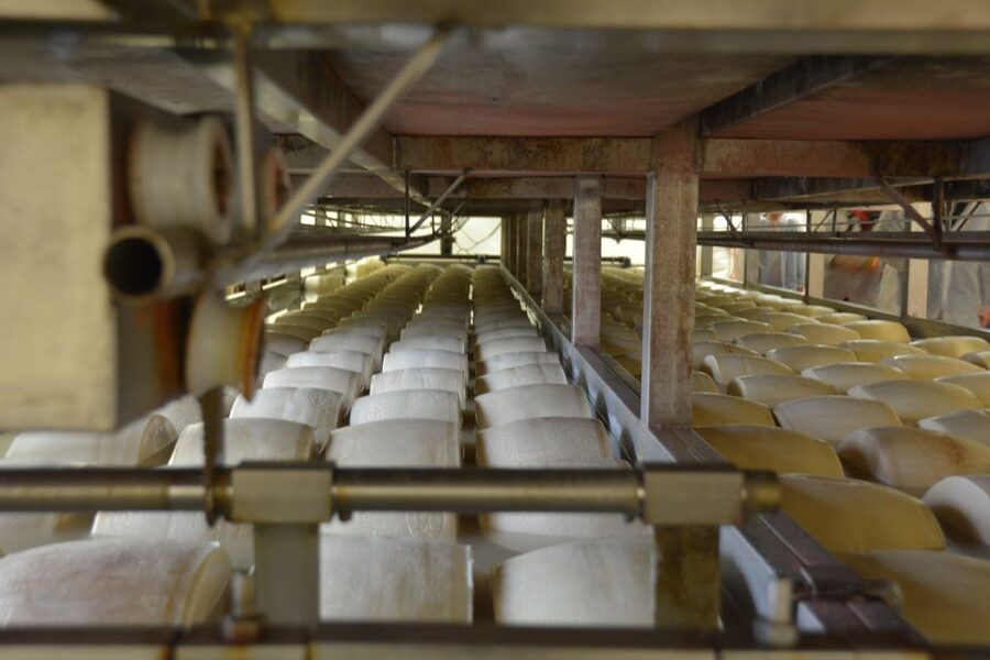Emila-Romagna: Parmigiano, Prosciutto, Wine & Balsamic Tour - How the Tastings Feel in Real Life, and How to Do Them Smart