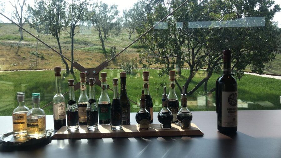 Emila-Romagna: Parmigiano, Prosciutto, Wine & Balsamic Tour - Price and Logistics: Does $498 Per Person Actually Make Sense?