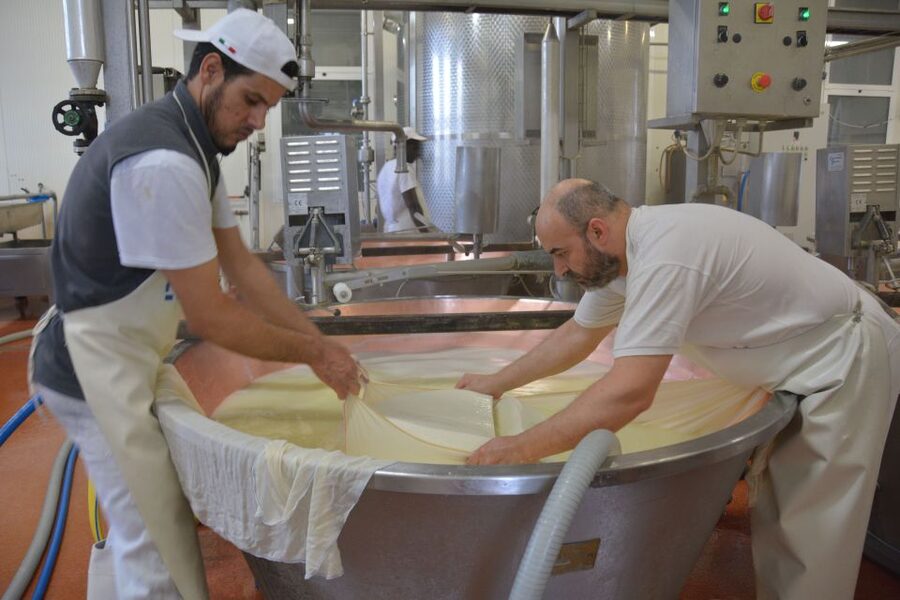 Emila-Romagna: Parmigiano, Prosciutto, Wine & Balsamic Tour - Who This Tour Suits Best (and Who Might Want to Skip It)