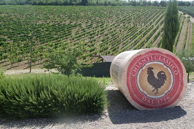 Essence of Chianti Small Group Tour with Lunch and Tastings from Florence - Key Highlights You’ll Feel in Your Day