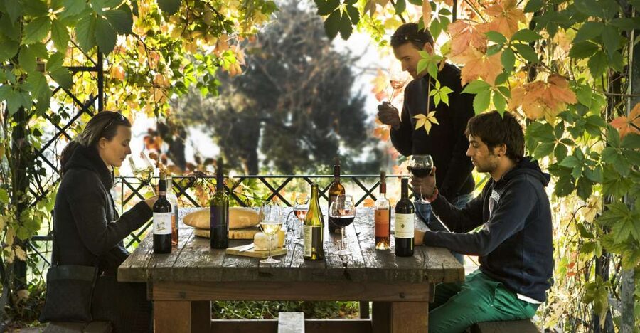 Exclusive Chianti Rufina Half-Day with lunch from Florence - Key Highlights to Look Forward To